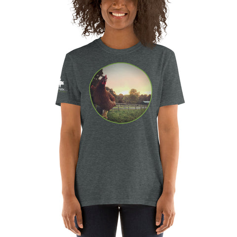 Chickens on a Fence T-Shirt