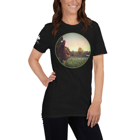 Chickens on a Fence T-Shirt