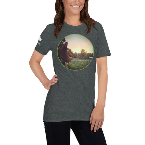 Chickens on a Fence T-Shirt