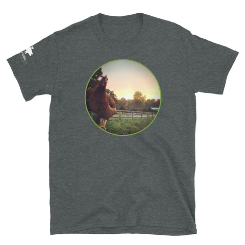 Chickens on a Fence T-Shirt