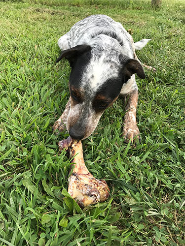 Non-GMO Dog Bones