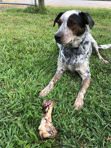 Non-GMO Dog Bones