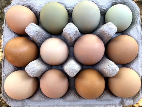 Ritter Farm Pastured Eggs