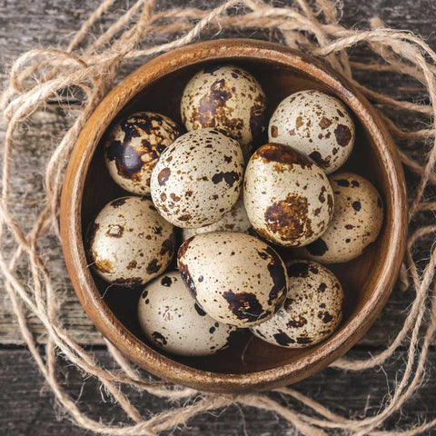 Quail Eggs